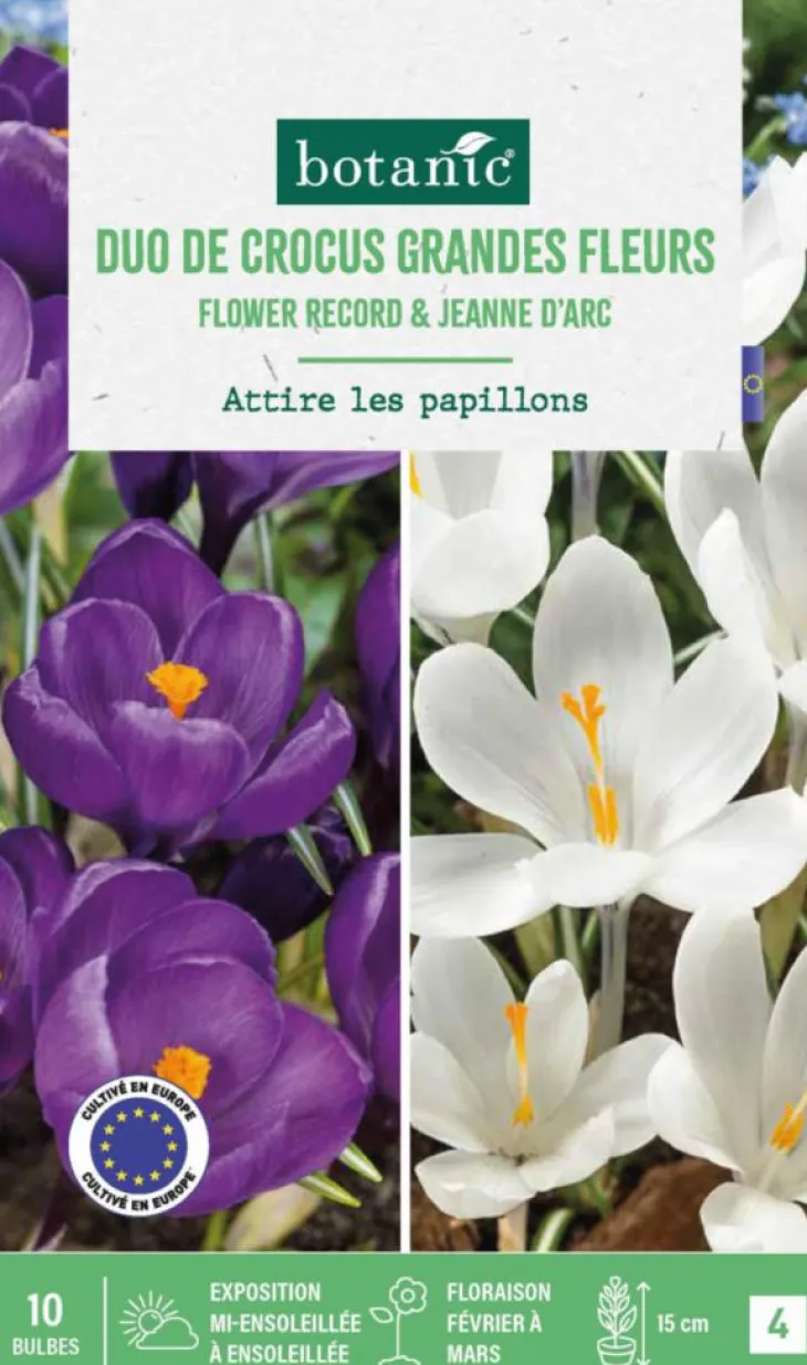 Crocus en mélange coloris violet et blanc botanic® - 10 bulbes