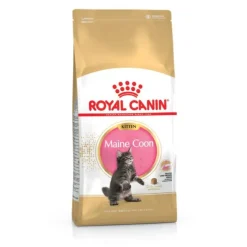 Croquette pour chaton et chatte adulte en gestation Maine Coon Royal Canin - 2 kg