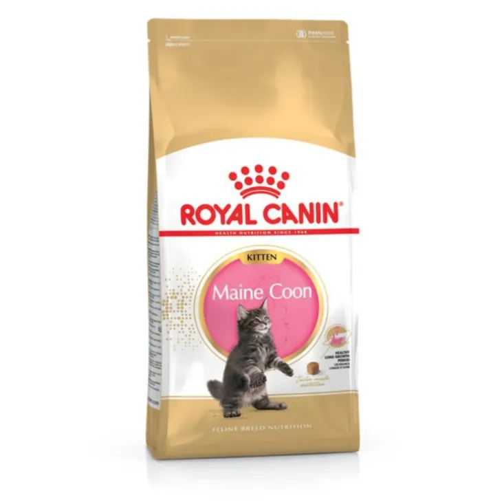 Croquette pour chaton et chatte adulte en gestation Maine Coon Royal Canin - 2 kg