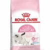 Croquette pour chaton Royal Canin - 2 kg