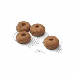 Croquette pour chien adulte stérilisé de taille moyenne Royal Canin - 3 kg