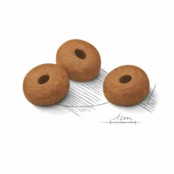 Croquette pour chien adulte de grande taille en surpoids Royal Canin - 12 kg