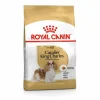 Croquette pour chien adulte King Charles Royal Canin - 3 kg