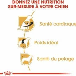 Croquette pour chien adulte King Charles Royal Canin - 3 kg