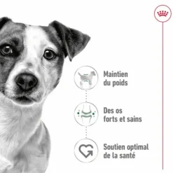 Croquette pour chien adulte de petite taille Royal Canin - 2 kg