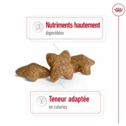 Croquette pour chien adulte de petite taille Royal Canin - 2 kg