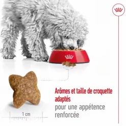Croquette pour chien adulte de petite taille Royal Canin - 2 kg