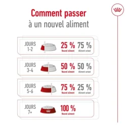 Croquette pour chien adulte de petite taille Royal Canin - 2 kg