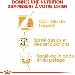 Croquette pour chien adulte stérilisé Labrador Royal Canin - 12 kg