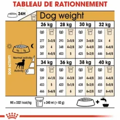 Croquette pour chien adulte stérilisé Labrador Royal Canin - 12 kg