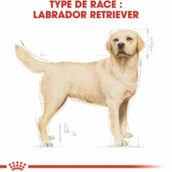 Croquette pour chien adulte Labrador Retriever Royal Canin - 12 kg