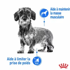 Croquette pour chien adulte de petite taille light weight care Royal Canin - 3 kg