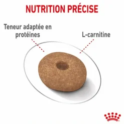 Croquette pour chien adulte de petite taille light weight care Royal Canin - 3 kg