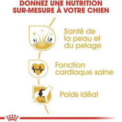 Croquette pour chien adulte Golden Retriever Royal Canin - 12 kg