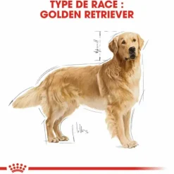 Croquette pour chien adulte Golden Retriever Royal Canin - 12 kg