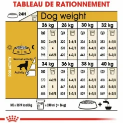 Croquette pour chien adulte Golden Retriever Royal Canin - 12 kg