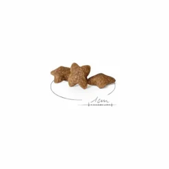 Croquette pour chien adulte de petite taille Royal Canin - 8 kg