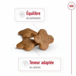 Croquette pour chien mature de petite taille Royal Canin - 2 kg