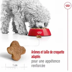 Croquette pour chien mature de petite taille Royal Canin - 2 kg