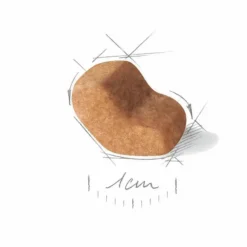 Croquette pour chien Shih Tzu Royal Canin - 3 kg