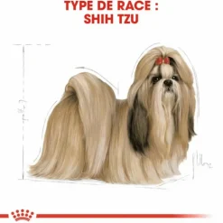 Croquette pour chien Shih Tzu Royal Canin - 3 kg