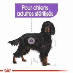 Croquette pour chien stérilisé de grande taille Royal Canin - 12 kg