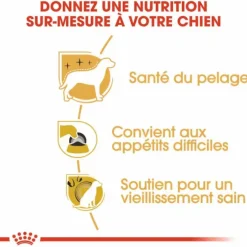 Croquette pour chien Yorkshire Royal Canin - 3 kg