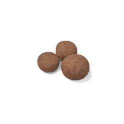 Croquette pour chiot de taille moyenne Royal Canin - 15 kg