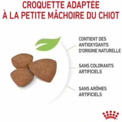 Croquette pour chiot Royal Canin - 2 kg