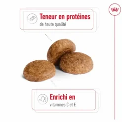 Croquettes pour chien Royal Canin Medium adulte de + 7 ans - Le sac de 15 kg