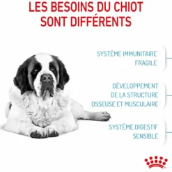 Croquettes pour chiot Royal Canin Junior active Giant - 15 kg