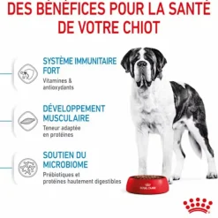 Croquettes pour chiot Royal Canin Junior active Giant - 15 kg