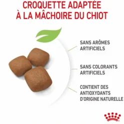 Croquettes pour chiot Royal Canin Junior active Giant - 15 kg