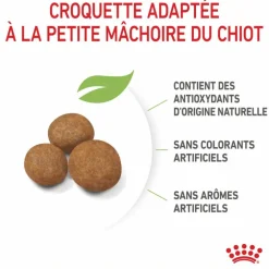 Croquettes pour chiot Royal Canin Giant - 15 kg