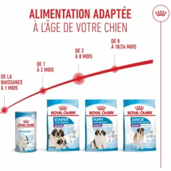 Croquettes pour chiot Royal Canin Giant - 15 kg