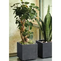 Cubo Millenium Corten à réserve d’eau 10 litres