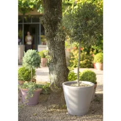 Cuvier contemporain en terre grise H 52 x Ø 53 cm