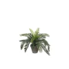 Cycas palmier artificiel vert en pot Stan gris H 48 x Ø 44 cm