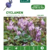Cyclamen Hederifolium rose botanic® - 2 bulbes