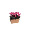 Cyclamen rose clair artificiel en jardinière Slate Terra 29x13x33 cm