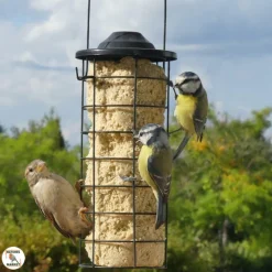 Cylindre de graisse pour oiseaux aux insectes