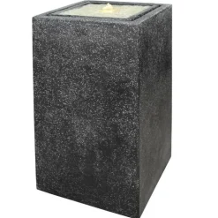 Cyperus alternifolius en pot design de 10 L