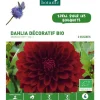 Dahlia décoratif Arabian Night bio rouge botanic® - 2 bulbes