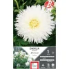 Dahlia dentelle White Lace blanc Ernest Turc - 1 bulbe