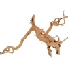 Décoration naturelle pour aquarium et terrarium coloris marron Zolux racine araignée – 50 à 60 cm