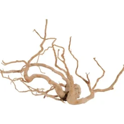Décoration naturelle pour aquarium et terrarium coloris marron Zolux racine araignée – 60 cm et plus