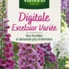 Digitale Excelsior Variée Vilmorin - graines à semer