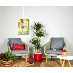 Dracaena marginata 4 tiges et son pot Classico premium Ø 35 rouge