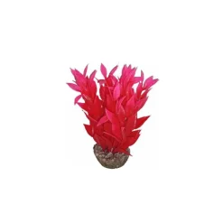 Dracaena rose en plastique 13 cm