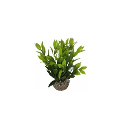 Dracaena vert en plastique 13 cm